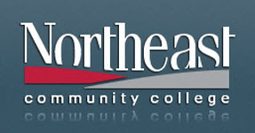 Article image-9